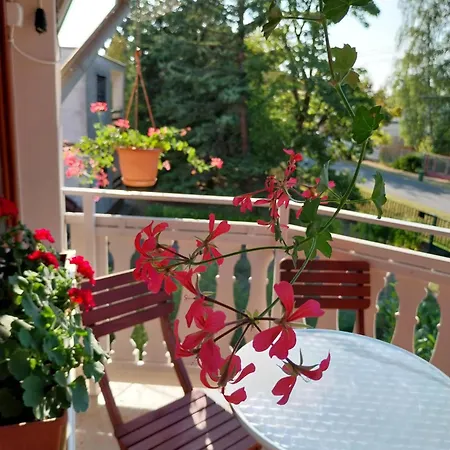 Dessewffy 公寓 扎马迪